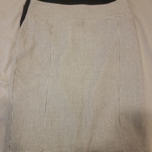 Express Pencil Skirt